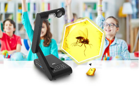 AVer Visualisers | High-Quality Document Cameras for Classrooms & Presentations